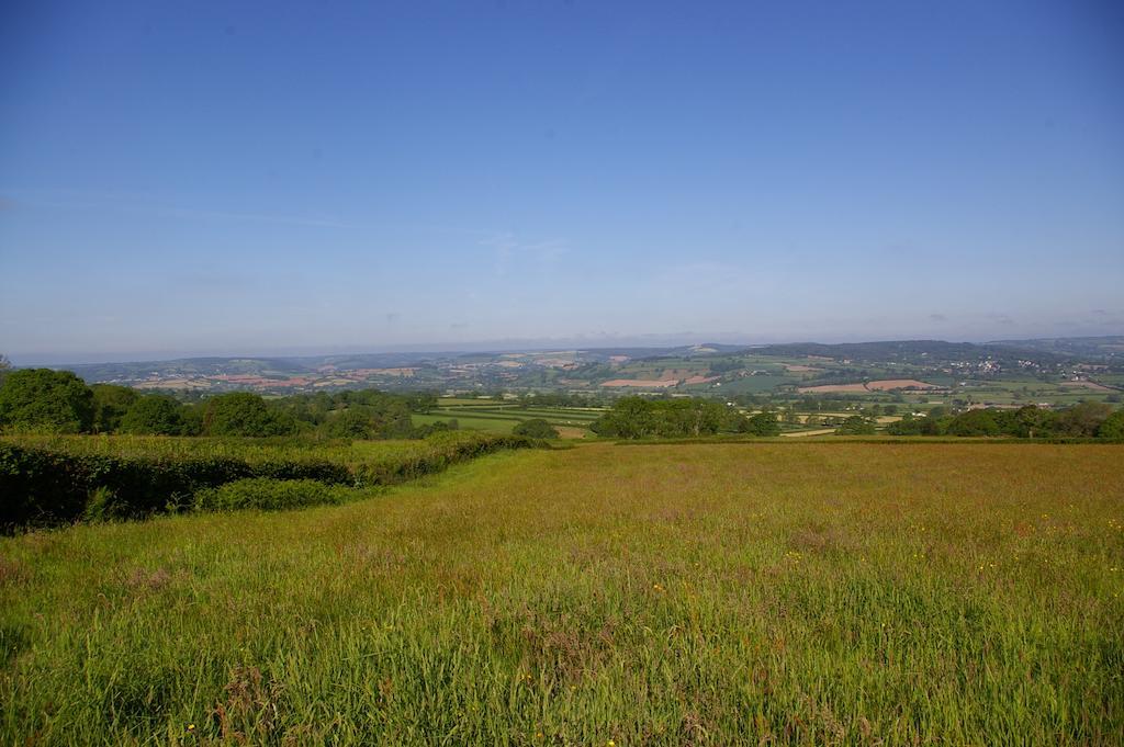 Wyke Farm Hotel Axminster Zewnętrze zdjęcie